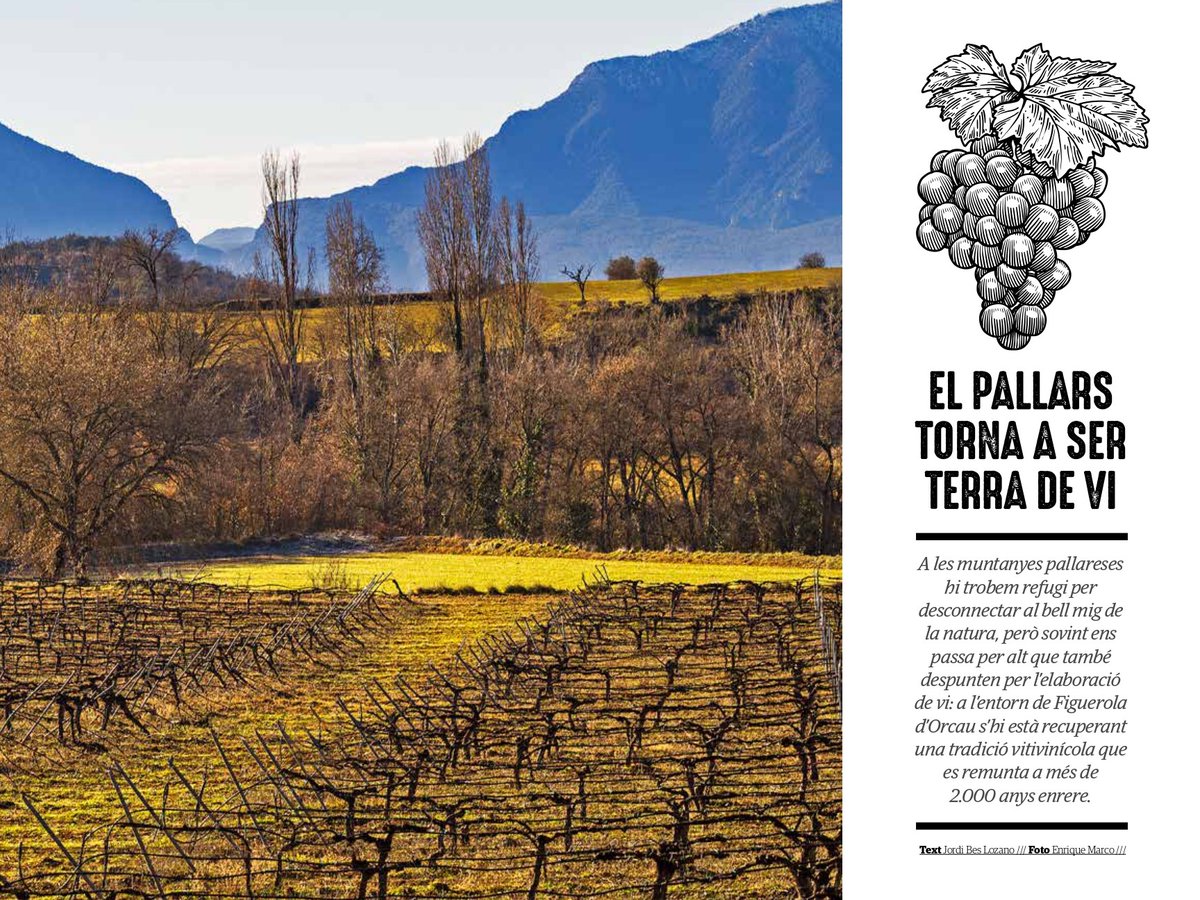 JordiBes's tweet image. A la revista @cuinacat d'aquest març hi trobareu un reportatge que he escrit sobre el reviscolament del vi del #Pallars 🏔️🍇🍷👉 s'hi està recuperant una tradició vitivinícola que es remunta a molts segles enrere. Les fotos que acompanyen l'article són d'Enrique Marco #vicatalà