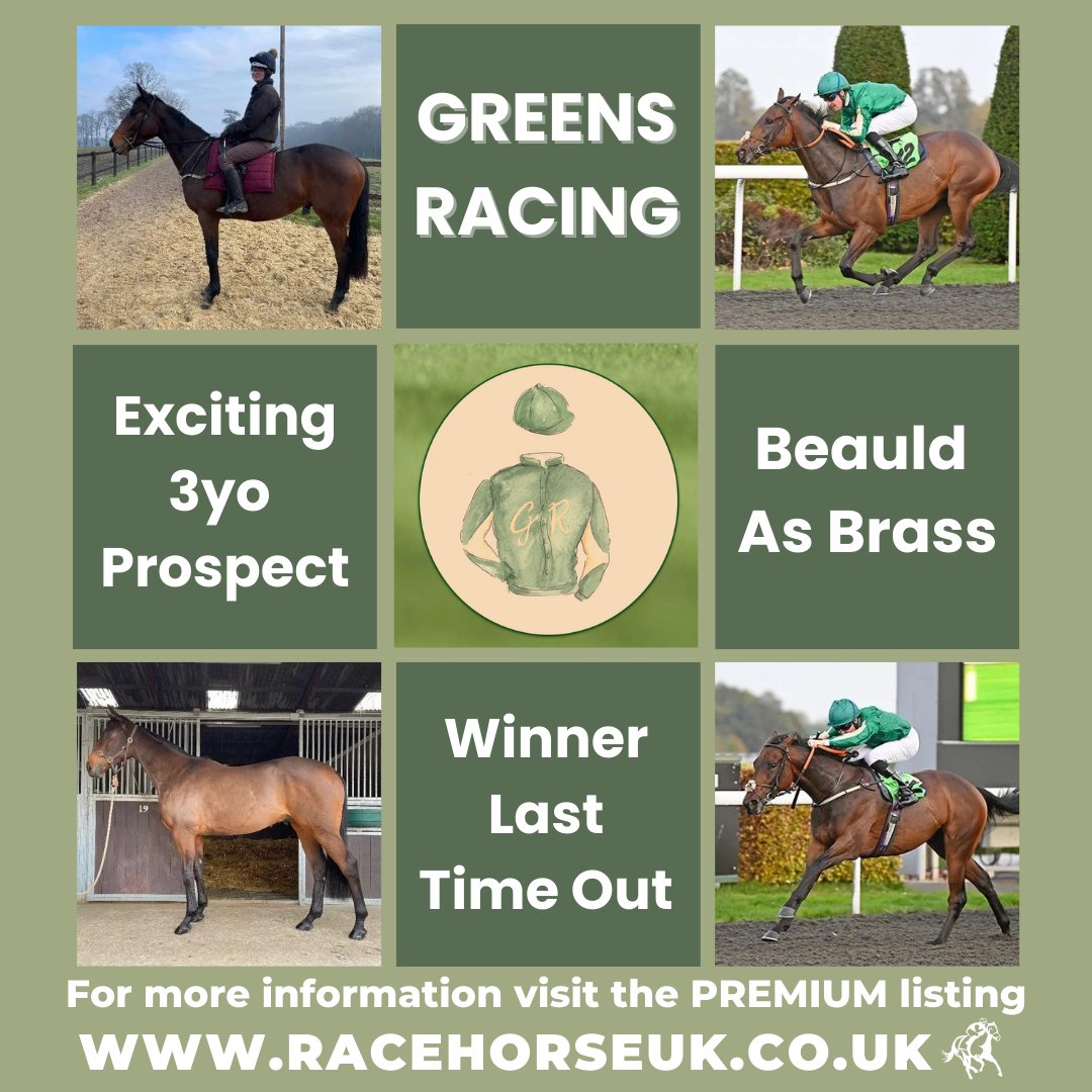 Racehorse_UK's tweet photo. Beauld As Brass is a smart three-year-old gelding in training with @GBakerRacing. 
Greens Racing offers 10% all-inclusive ownership shares in this exciting and consistent horse.
For more information, visit the PREMIUM listing at https://t.co/NVPBa7nAYA
#racehorseuk https://t.co/SwwxdldAPB