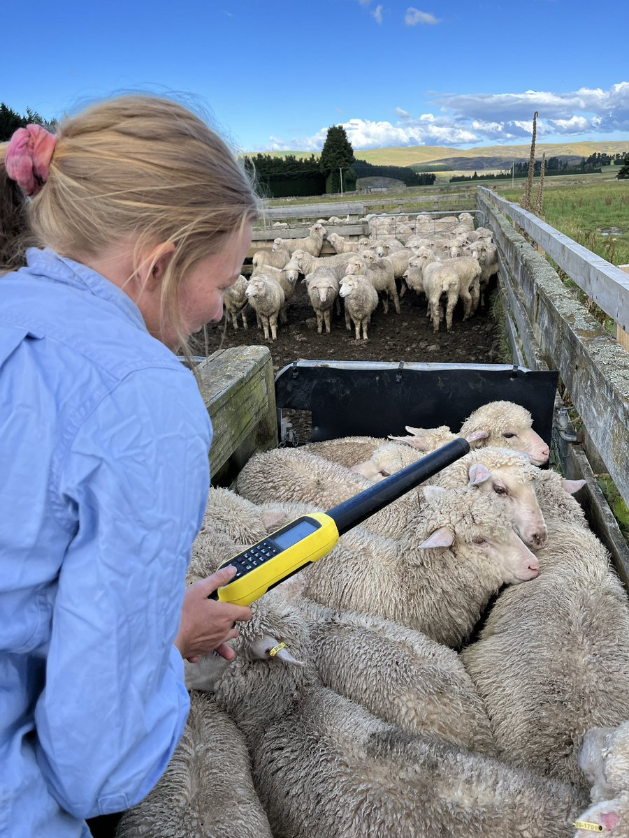 It is so easy to make bad decisions in the classing race if you don’t have the right data. <a href="/neXtgenAgri/">neXtgen Agri Ltd</a> <a href="/T90Program/">Towards 90</a>