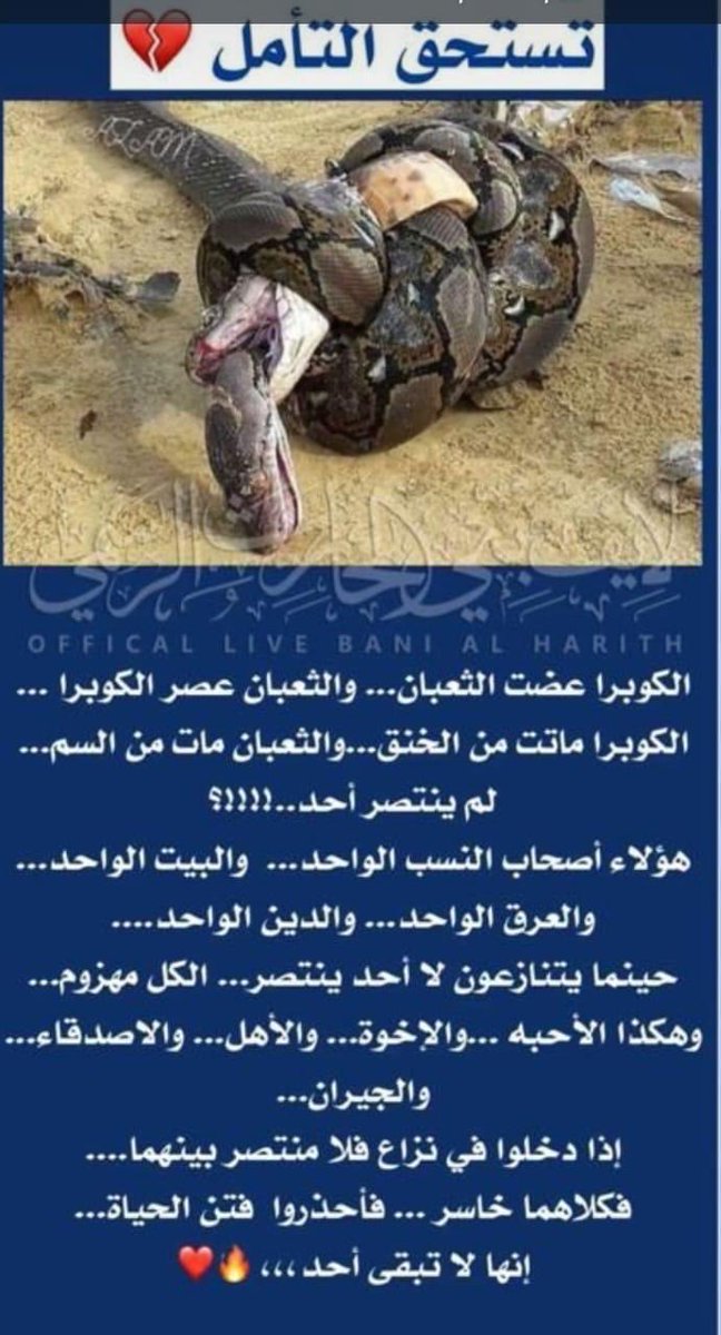 ؟ ابراهيم al ben ali tweet media