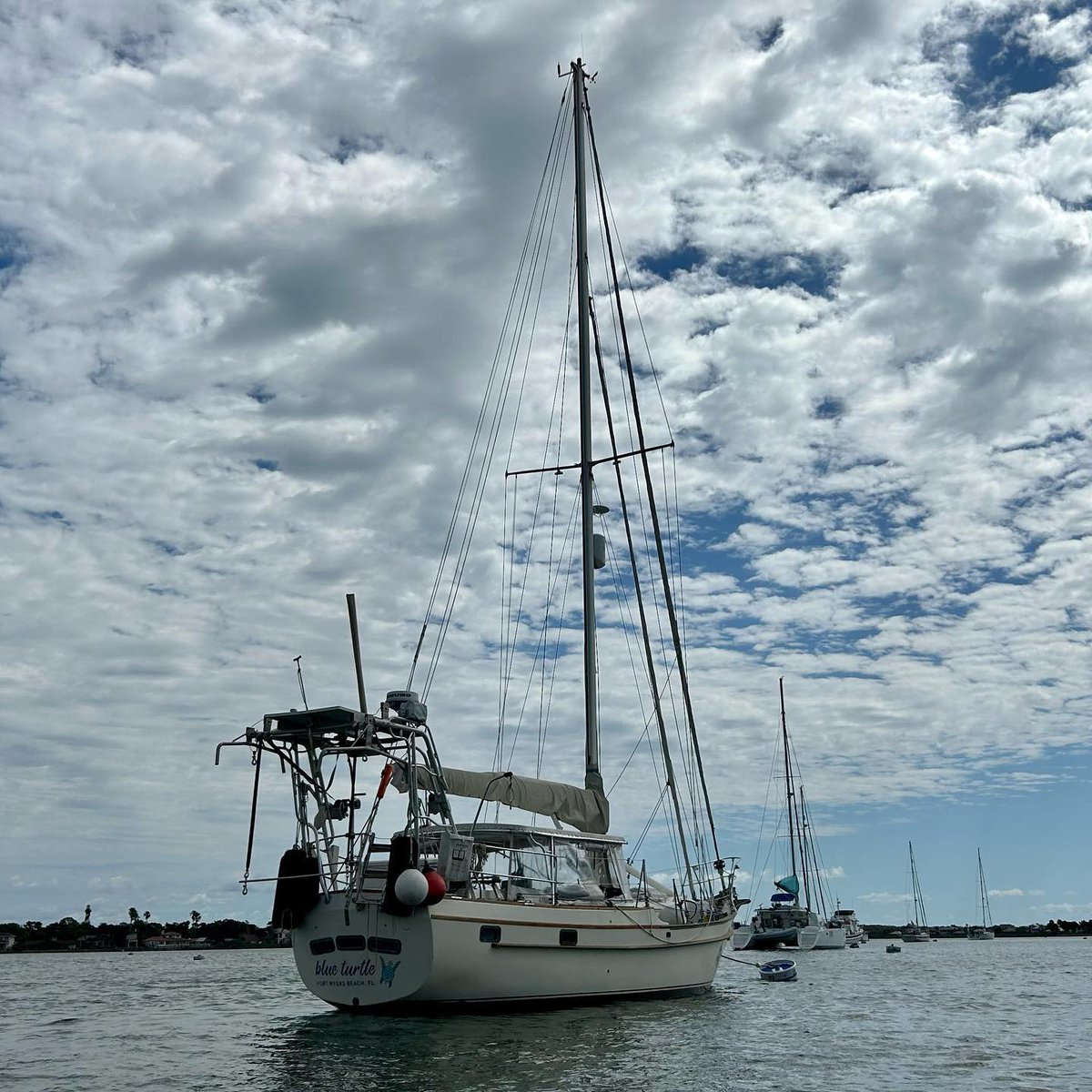 blueturtleatsea's tweet photo. 📸 From Instagram: Our beautiful girl on a mooring in St. Augustine ❤️ She looks so good with the bottom and sides done. Captain Randy dove the bottom twice in one da... https://t.co/G4eSx5wWBD