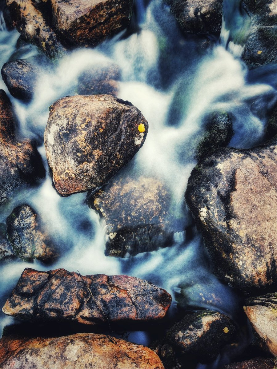 Jani's Photos📷 tweet media