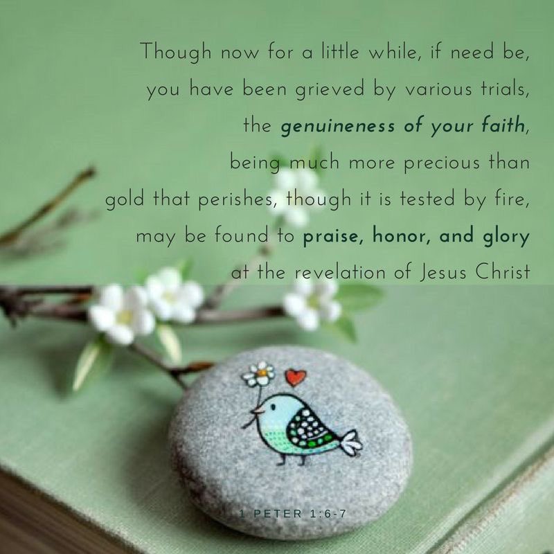 FaithBeautyHope's tweet photo. ALL TO JESUS…
Each of us has different gifts abilities, interests and talents. When it comes to being a grandmothers, we also have unique gifts. You might not fit the stereotype of a grandma. Perhaps you don’t “do”cookies or diapers…
#USINGYOURGIFTS
Study:1 Peter 4:10🥰 https://t.co/diKCACJGQk