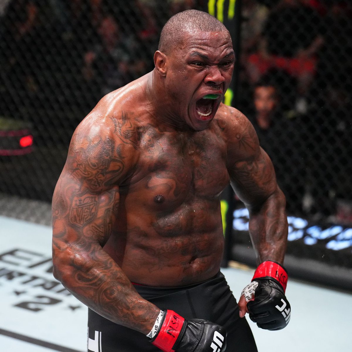 SoldierOfRomero's tweet photo. This MF won TUF an just dipped ?? https://t.co/JqoSnygH7z