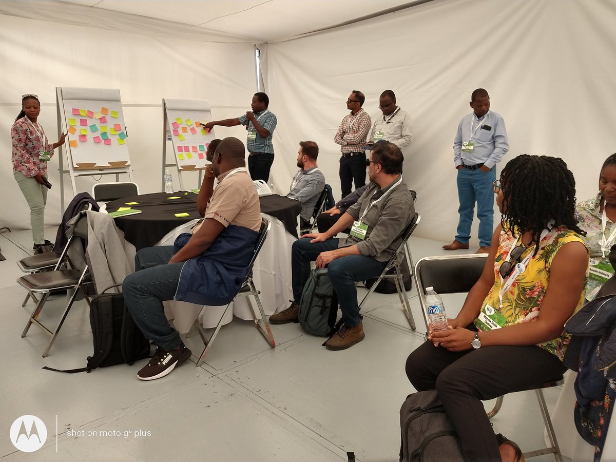 Designing new cropping systems requires group sourcing drivers of current cropping patterns! It's hot in this tent-what an exciting opportunity to see experts learning from each other! #futureoffarming @CIMMYT #scienceinnovationweek #sustainability #cropdiversity