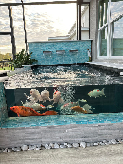 Now more than ever, pond lovers across the nation (and world!) are requesting formal koi ponds in their homes. Freddie Combas, owner of <a href="/FWGdesigns/">FWG Designs, LLC</a>, talks about ...
pondtrademag.com/building-forma…

#pondlovers #bestponds #livingthepondlife #koi #koifish #koiponds #pondlife #waterartisans