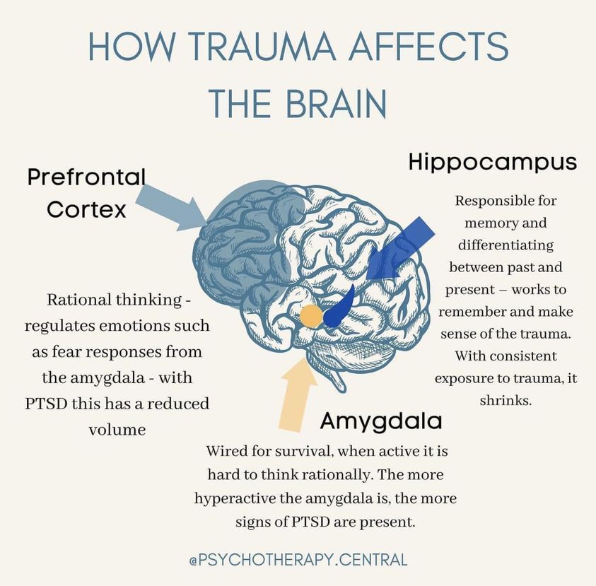 AnatSamid's tweet image. Trauma is a highly disturbing experience that highjacks your nervous system. The intensity and duration impacts our brain. There is help. #BrainAwarenessWeek #prefrontalcortex #hippocampus #amygdala