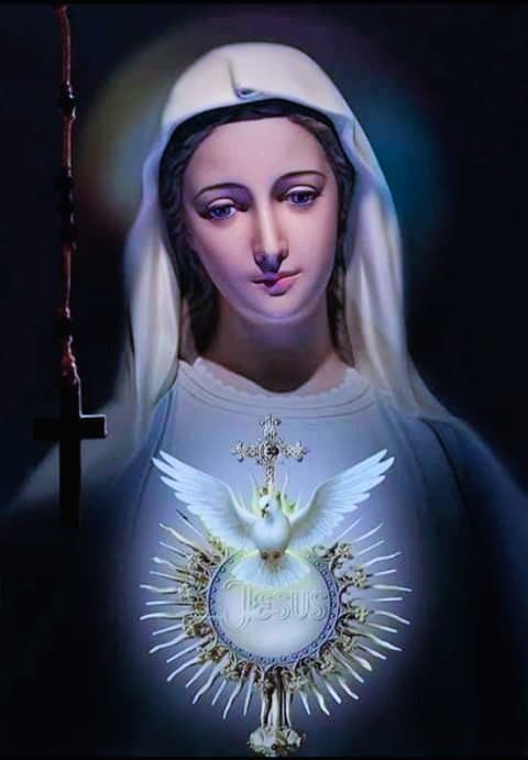 Hail Mary full of Grace, the Lord is with thee, blessed art thou among women and blessed is the fruit of thy womb, Jesus.
Holy Mary, Mother of God, pray for us sinners, now and at the hour of our death.
Amen.

#Lent #pray #DailyRosaryPray #JoyfulMystery