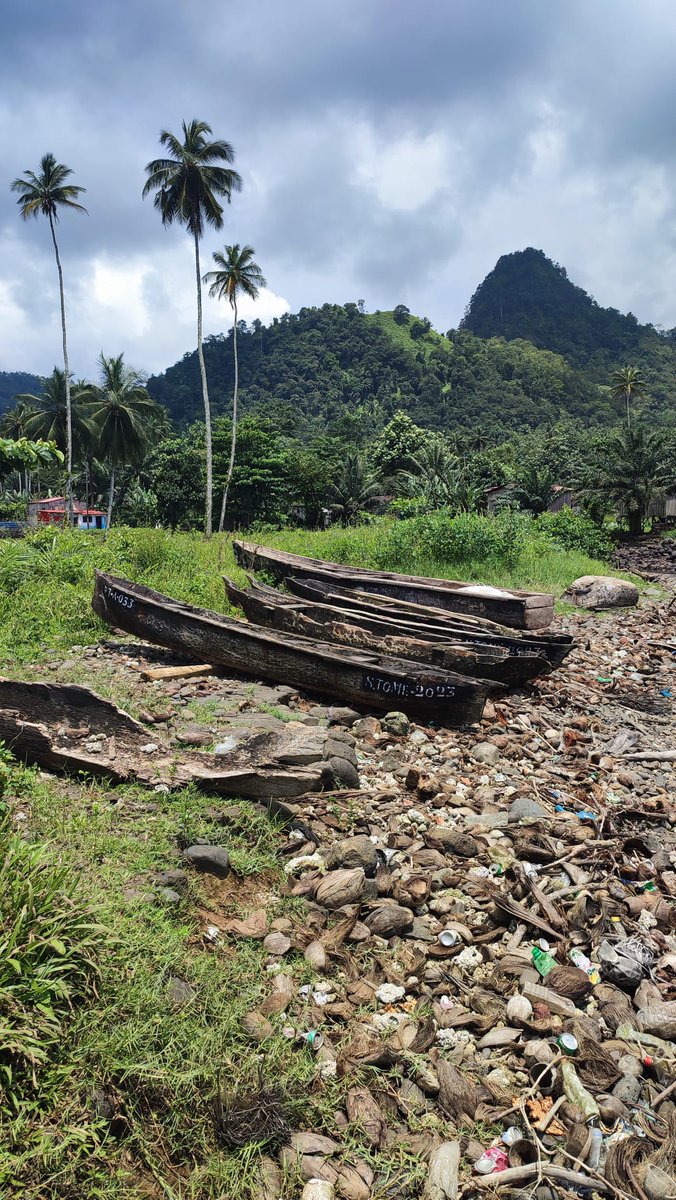 ProjectNgandu's tweet photo. A new field mission has started, now in Sao Tome Island! Last week, after a project meeting with local partners, PI @RuiafRosa and team member @Vasco_Pissarra coordinated a workshop dedicated to #shark identification and sampling techniques! #KnowledgeTransfer #NGANDUproject https://t.co/ggAo3ujbdf