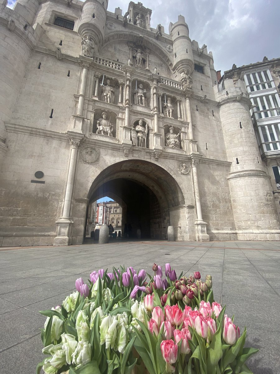 ¡Ya huele a primavera! 💐
Hemos querido ponerle un poquito de color a nuestra Catedral y Arco de Santa María con estos preciosos tulipanes 🌷
Hasta el sol 🌞 ha querido salir entre las nubes para verlos 😍
#burgos #catedraldeburgos #tulipanes #primavera #floresburgos