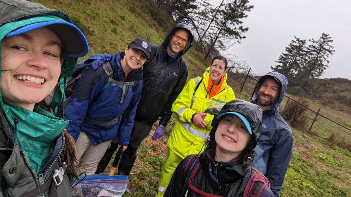 wsubio's tweet image. The Rua Lab visited native stands of Pinus radiata along the central California coast over Spring Break to sample the soil microbiome. Scion employees Dr. Steve Wakelin and PhD student Sarah Addison also joined them. @megrua @MicrobiomeTree