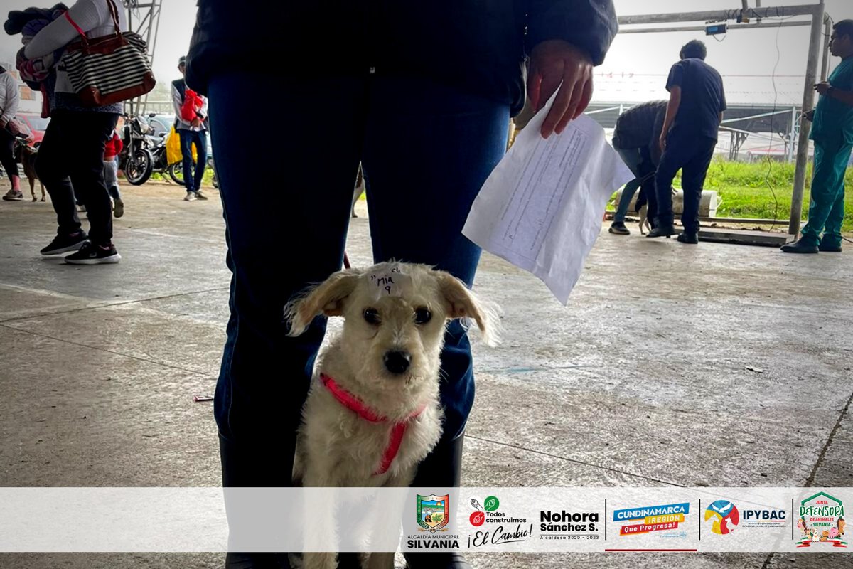 @AlcaldiaSilvania tweet media
