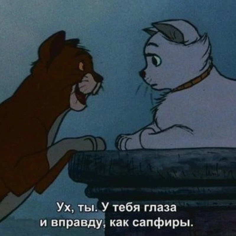 _pakris_'s tweet photo. Как покорить сердце девушки https://t.co/QqR9Vu8h7B