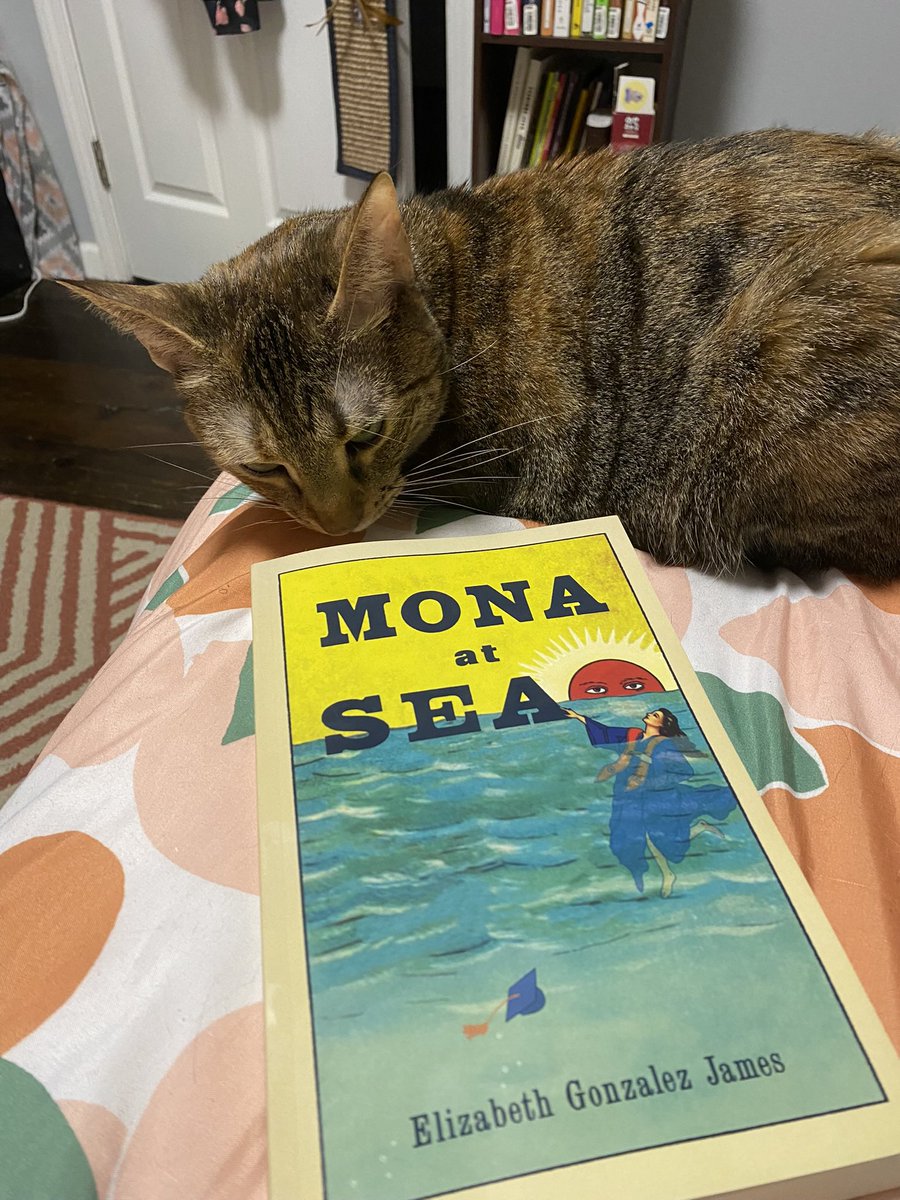 its_megan_tm's tweet photo. MONA AT SEA is a must read for every sad millennial going through a painful transition period in their life. This book beautifully captures the growing pangs of a young person finding their place. This book is like the Bible and Mona Mireles is a disgruntled Jesus. #bookreviews https://t.co/9vjhFBTLK2