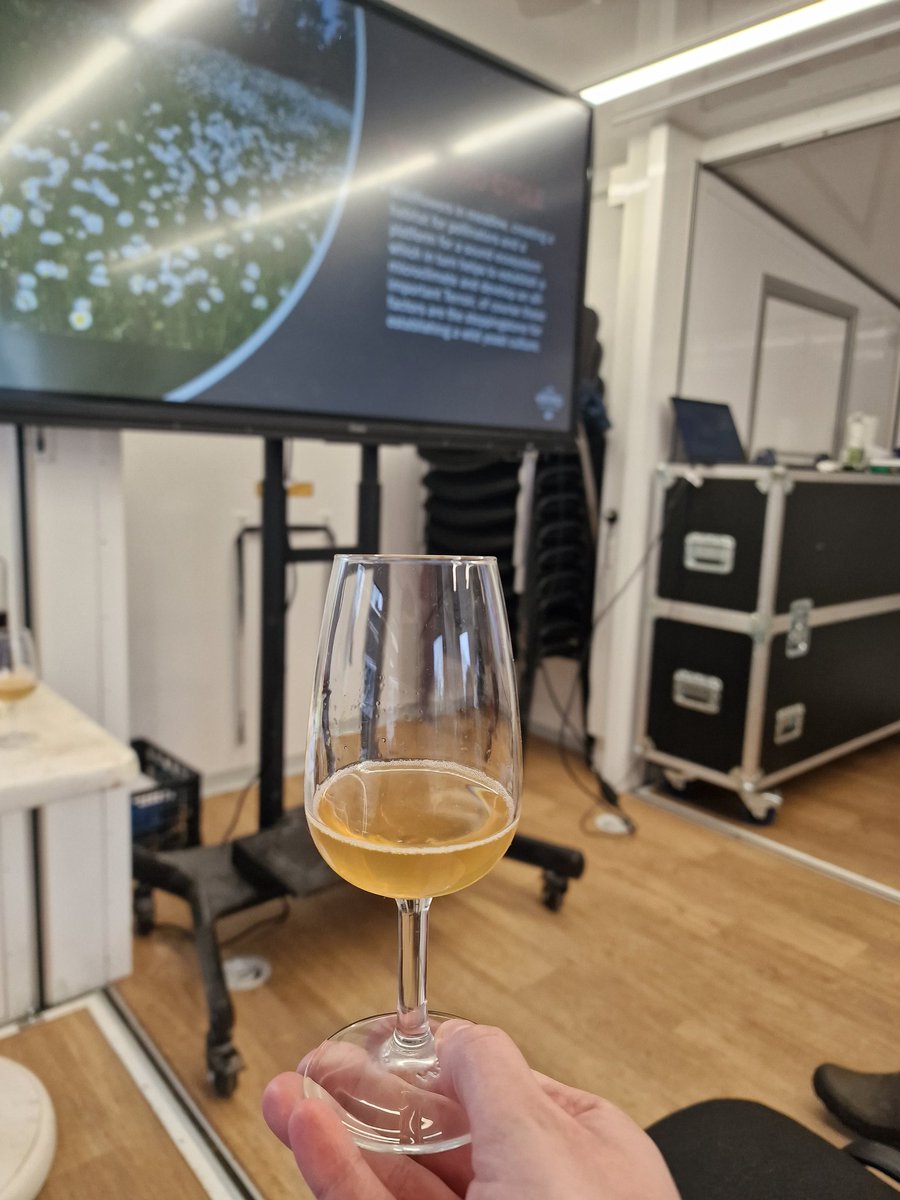 Incredible day with David Dennison <a href="/VikingDrinks/">Viking Irish Drinks</a> talking and guiding us through viticulture and winemaking. Great to see the potential we have for making more wine in Ireland too!