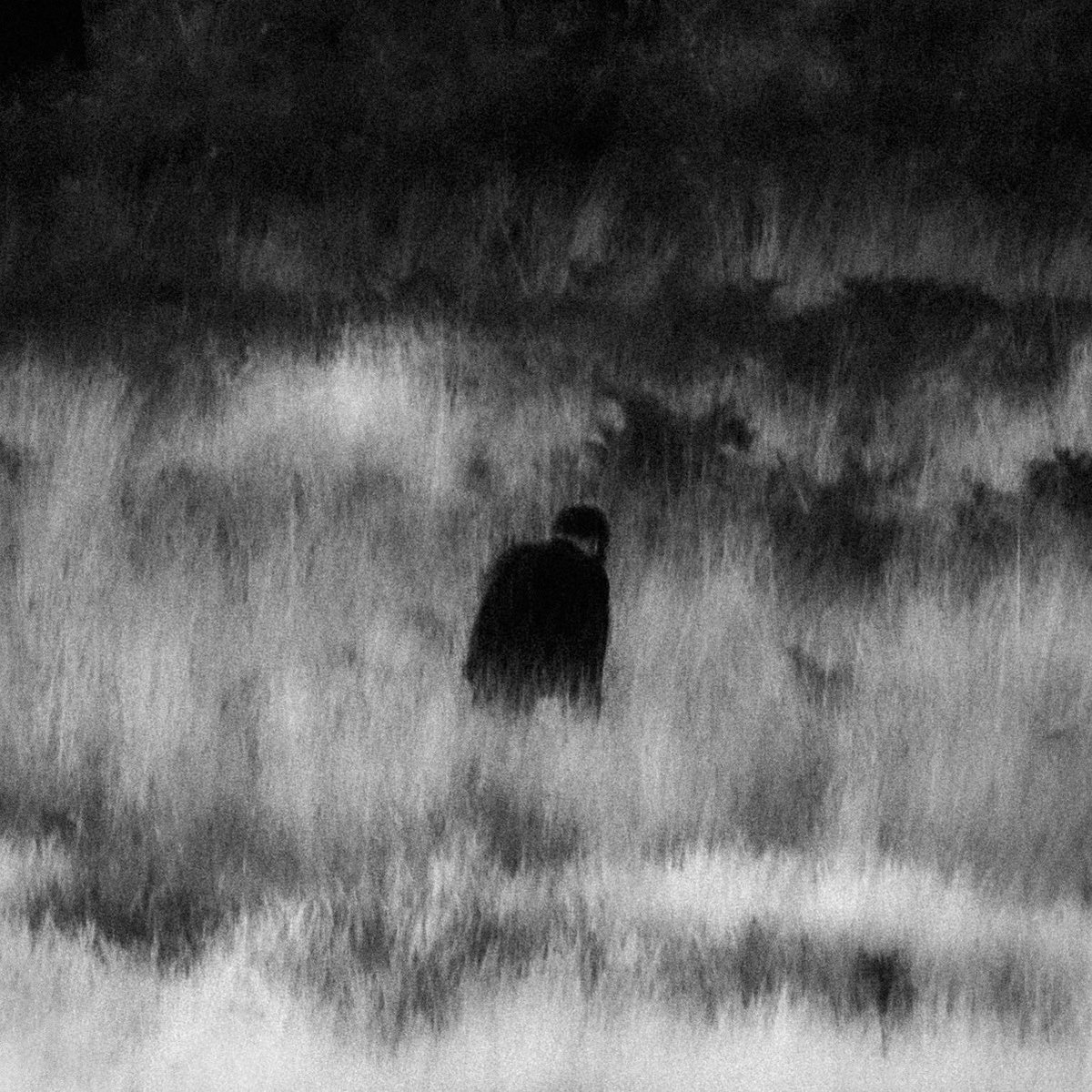 The Flames of Nature