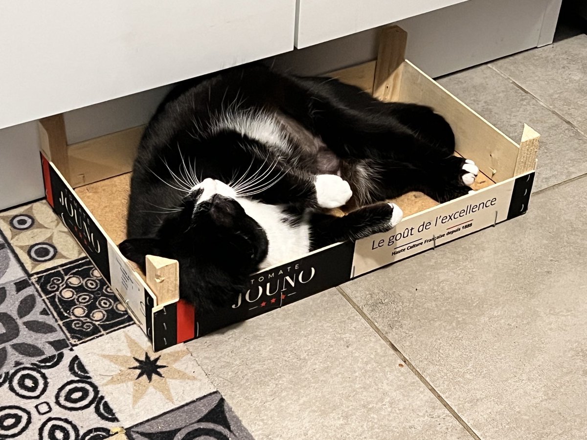 lgorithme's tweet image. Le recyclage commence à la maison…

#rse #environnement #chat #insolite