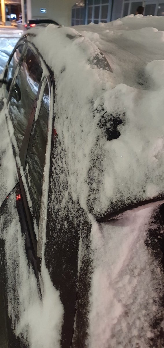 Rektor Halseth tweet media