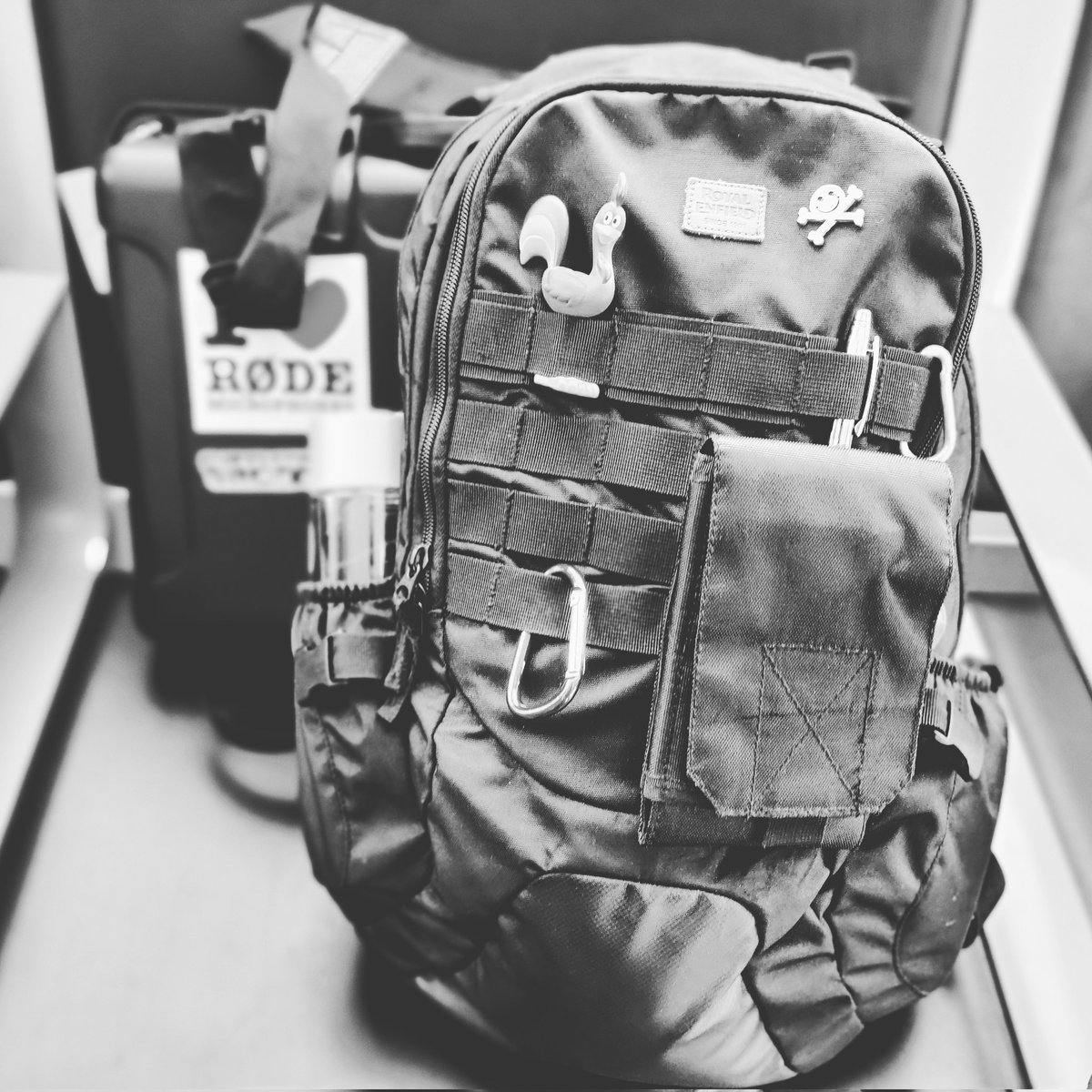 TacticAdversary's tweet photo. Flying with Mr. Rooster!
#adversarylife #hackerlife
#TacticalAdversary #RedTeam #OffensiveSecurity #EDC #TechEDC #cybersecurity #hacker #backpack #edcbackpack https://t.co/CTBEjGt0kQ