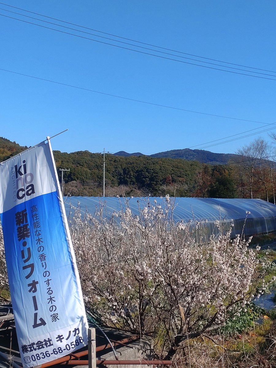 kinoca3's tweet photo. おはようございます。 #山口県宇部市 今日の天気☀。
事務所近くの🍒の花も咲き、春を感じられるようになりましたが、やはり朝は寒いです。
今日も皆さん1日頑張りましょぅ

 #企業公式春のフォロー祭り https://t.co/l3yjgnNmBF