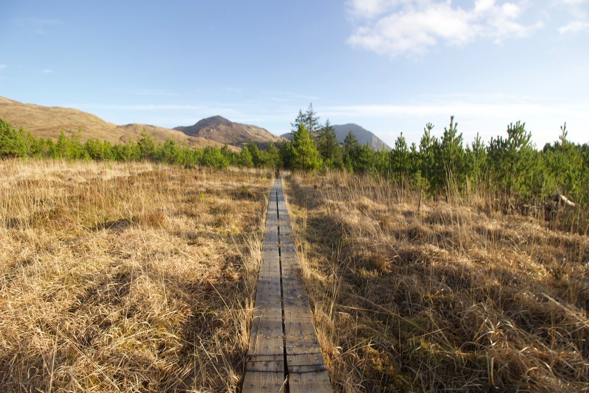 See this Instagram video by @amazonlandscapingardendesign instagram.com/reel/Cpv01Rfgx…