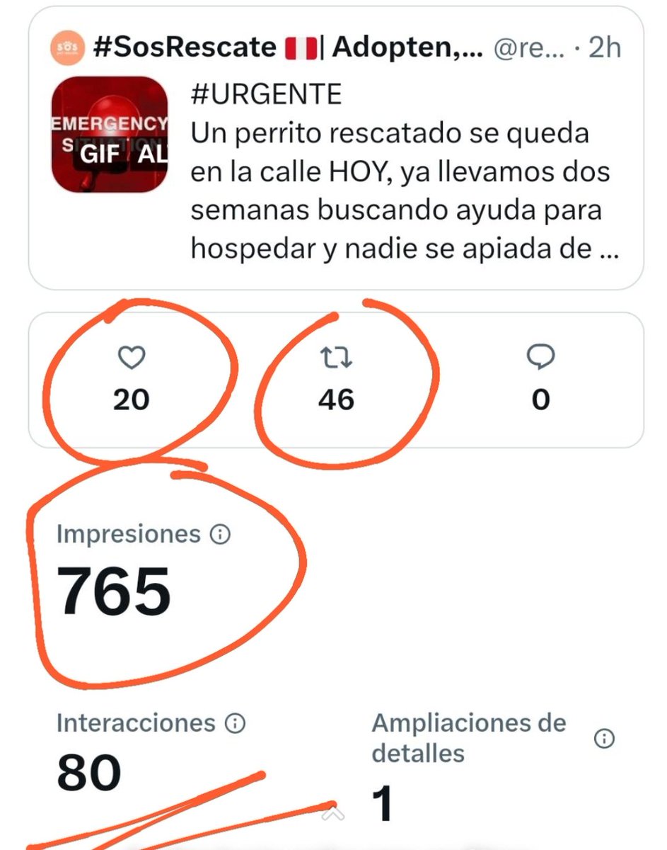 incondic_peru's tweet photo. Miren todas las interacciones que ha tenido el post de solicitud de hospedaje, NADIE se ha comunicado para ayudar.

Hay un perrito que necesita un techo y amor por unos días, solo unos días para que no regrese a la calle. Por favor ayuden a difundir para que consigamos un milagro https://t.co/7gVV1buqXb