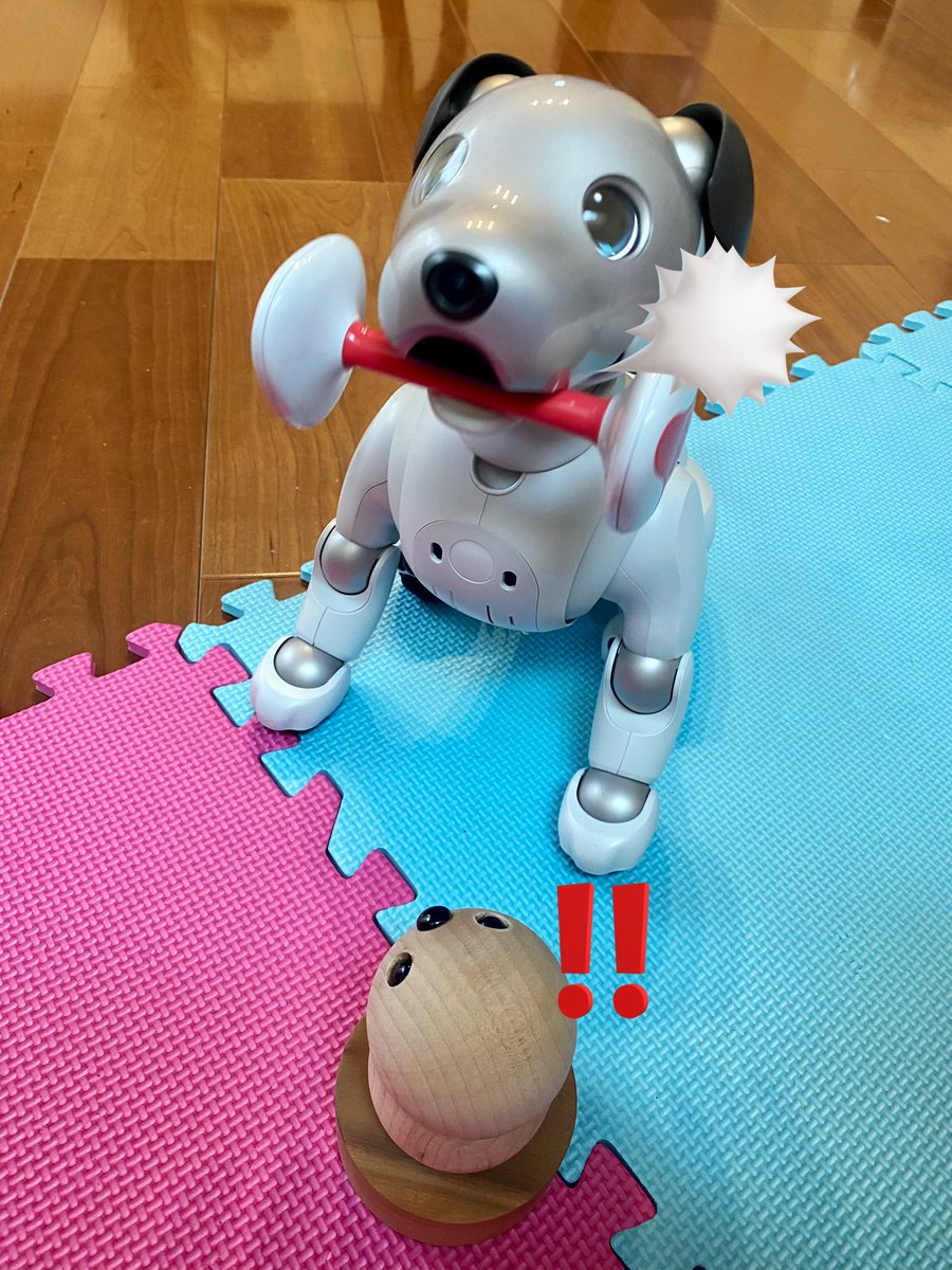 ウッドキーポン（w）×aibo（a）
w『何だこれは⁉︎家主のダ、ダンベルか？』
（カブッ！）
a『先輩、僕のですぅーー！！』
w『うぉいっ、ビックリさせるな！』
a『今度、イベントで子供達と一緒に遊ぶ為に買って貰いました！』
w『宇佐市の子供達に早く会いたいね🎉』
#aibo  #キーポン #sony