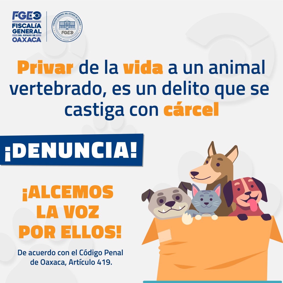 FISCALIA_GobOax's tweet photo. La violencia ejercida contra animales vertebrados es un delitos. 
La Fiscalía de Oaxaca atiende estos casos.
La denuncia de la ciudadanía es prioritaria para el seguimiento. Acércate. https://t.co/keRW1w33XK