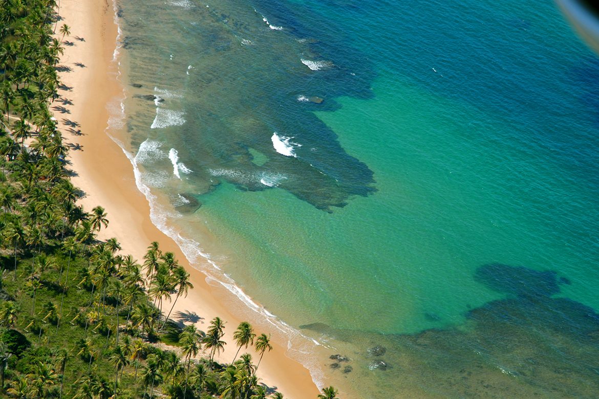 BrunettiRafael's tweet photo. NINGUÉM vai reclamar? 👇
Governo baiano autoriza resort de luxo que afetará Mata Atlântica e povoados tradicionais
A empreitada tem sócios como José Roberto Marinho, um dos herdeiros do Grupo Globo, e Armínio Fraga, economista e ex-presidente do Bacen https://t.co/3ty5PRZdRE