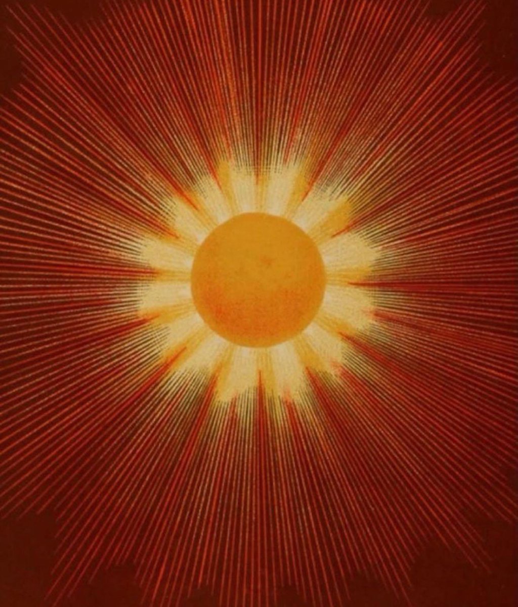 To remember oneself means the same thing as to be aware of oneself- I am. It is not a function, not thinking, not feeling; it is a different state of consciousness.⁣⁣
⁣⁣
— Ouspensky⁣

 #higherself #mind #spirit #higherconsciousness