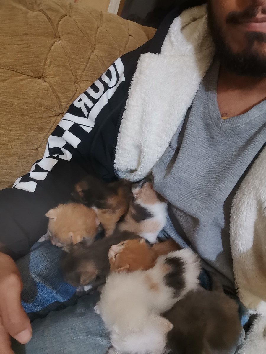 احفادي 🐈❤️❤️