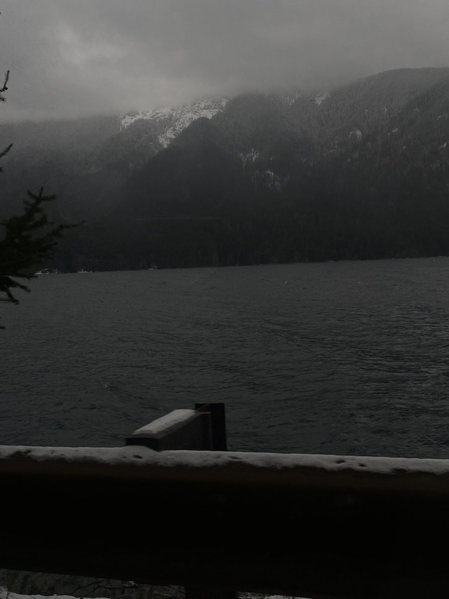 Leoni_Gonzalez's tweet photo. Washington, I miss you dearly https://t.co/RNmZDDvsjS