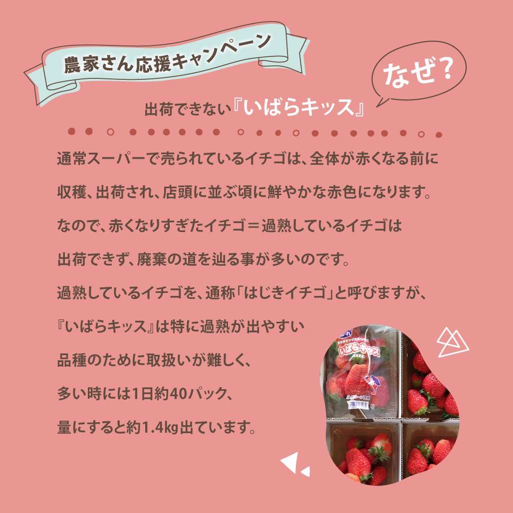 losshelp_jp's tweet photo. 【最大7回応募できる！農家さん応援キャンペーン1日目スタート🎉】

いよいよ始まりました！
１日1回応募ができるので、毎日応募すれば最大で7回応募が可能です✨
Instagramでもぜひこの情報をご友人や知人の方にシェアしていただけると嬉しいです❤
お申し込みはこちらから💁‍♀️
https://t.co/2eMAY1PF22 https://t.co/Hh9hHnHLiG