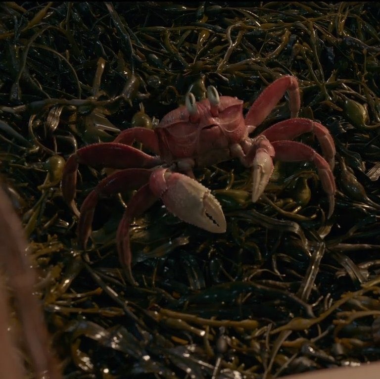 impossible_cut's tweet image. Can’t believe that this crab is in the new #ITChapter3 film…