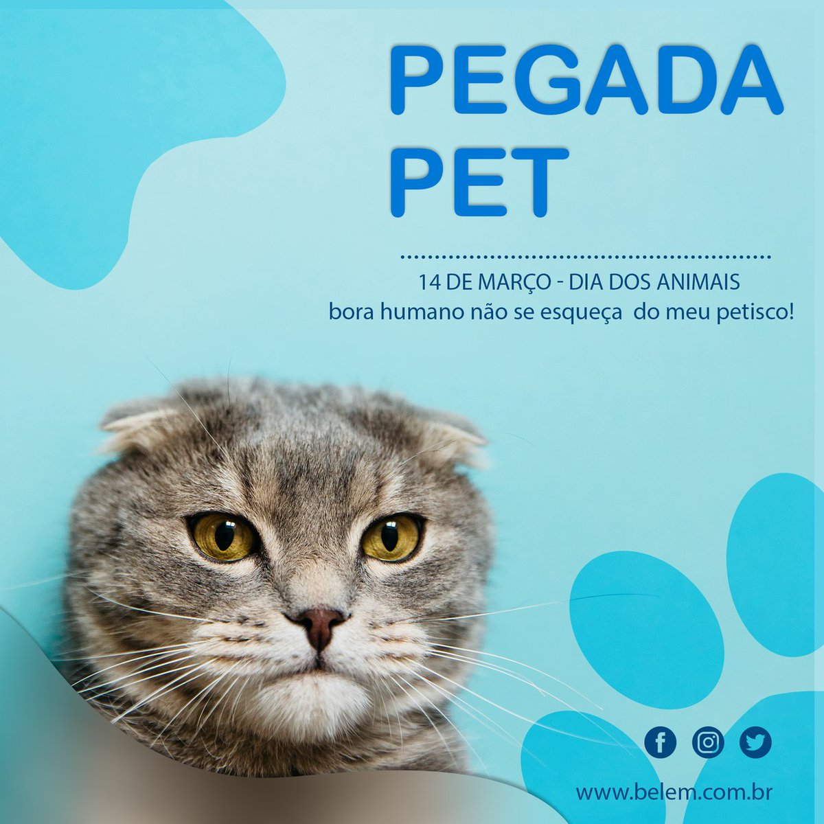 belem_com_br's tweet photo. Dia Nacional dos Animais: saiba como ter um pet mais produtivo.
Manter o animal ativo é essencial para a saúde física e mental dos pets.
#pegadapet #pet #belemcombr #diadosanimais #14demarço
https://t.co/9uCYoBDE3W https://t.co/6yNt1XDeTS