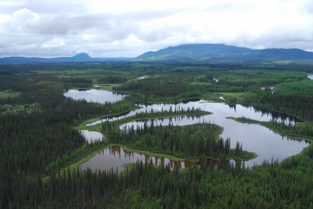 CLRA_National's tweet photo. @DUCanada extends congratulations to the @yukongov for the release of a Policy for the Stewardship of Yukon’s Wetlands, the territory’s first-ever wetland policy. Learn more at https://t.co/h9SJppamy6.

#CLRA #CanadianLandReclamationAccociation #ecosystem #nature #environment https://t.co/SQxaqUWT9F