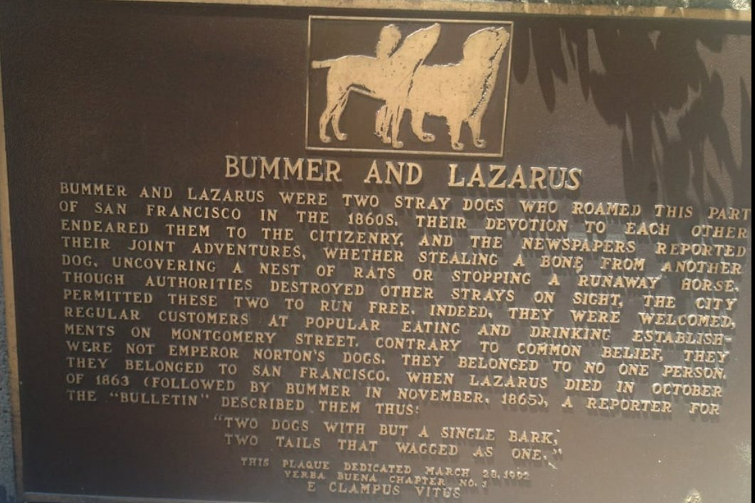 DavidWetherelt's tweet photo. @peterhartlaub @hknightsf oh man you missed out on a twofer! Bummer and Lazarus. Definitely SF attitude! https://t.co/5YwJRSrDg5