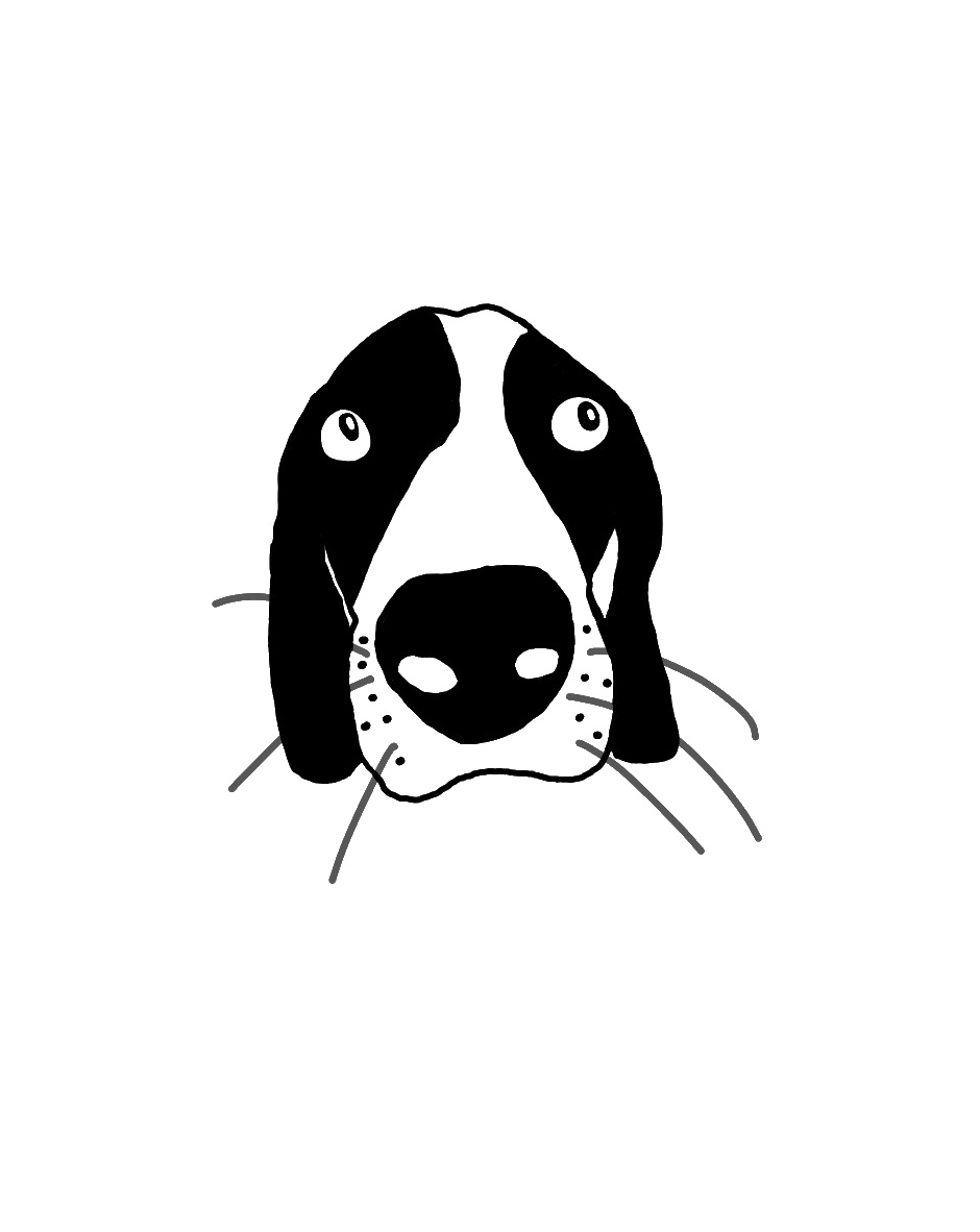 Kate_X_Crossing's tweet photo. Did a cute little doodle of my sweet beagle baby https://t.co/tVy3K4Iic7