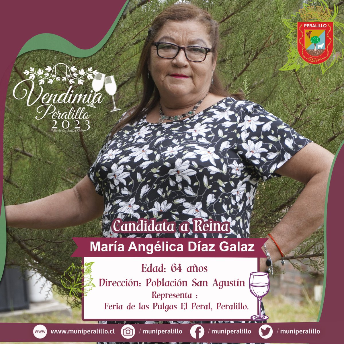 muniperalillo's tweet photo. Ilustre Municipalidad de Peralillo, dan conocer a nuestras Candidatas a Reina Vendimia Peralillo 2023.👑En esta ocasión se quiso incorporar a nuestras Mujeres Adultas Mayores, siendo algo histórico en nuestra comuna y en la Fiesta de la Vendimia.🍇👑🍷 https://t.co/5yyGZS83ht