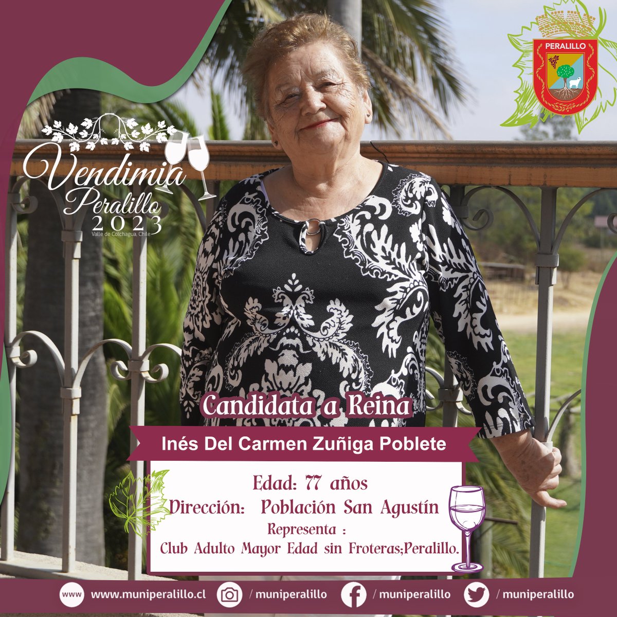 muniperalillo's tweet photo. Ilustre Municipalidad de Peralillo, dan conocer a nuestras Candidatas a Reina Vendimia Peralillo 2023.👑En esta ocasión se quiso incorporar a nuestras Mujeres Adultas Mayores, siendo algo histórico en nuestra comuna y en la Fiesta de la Vendimia.🍇👑🍷 https://t.co/5yyGZS83ht