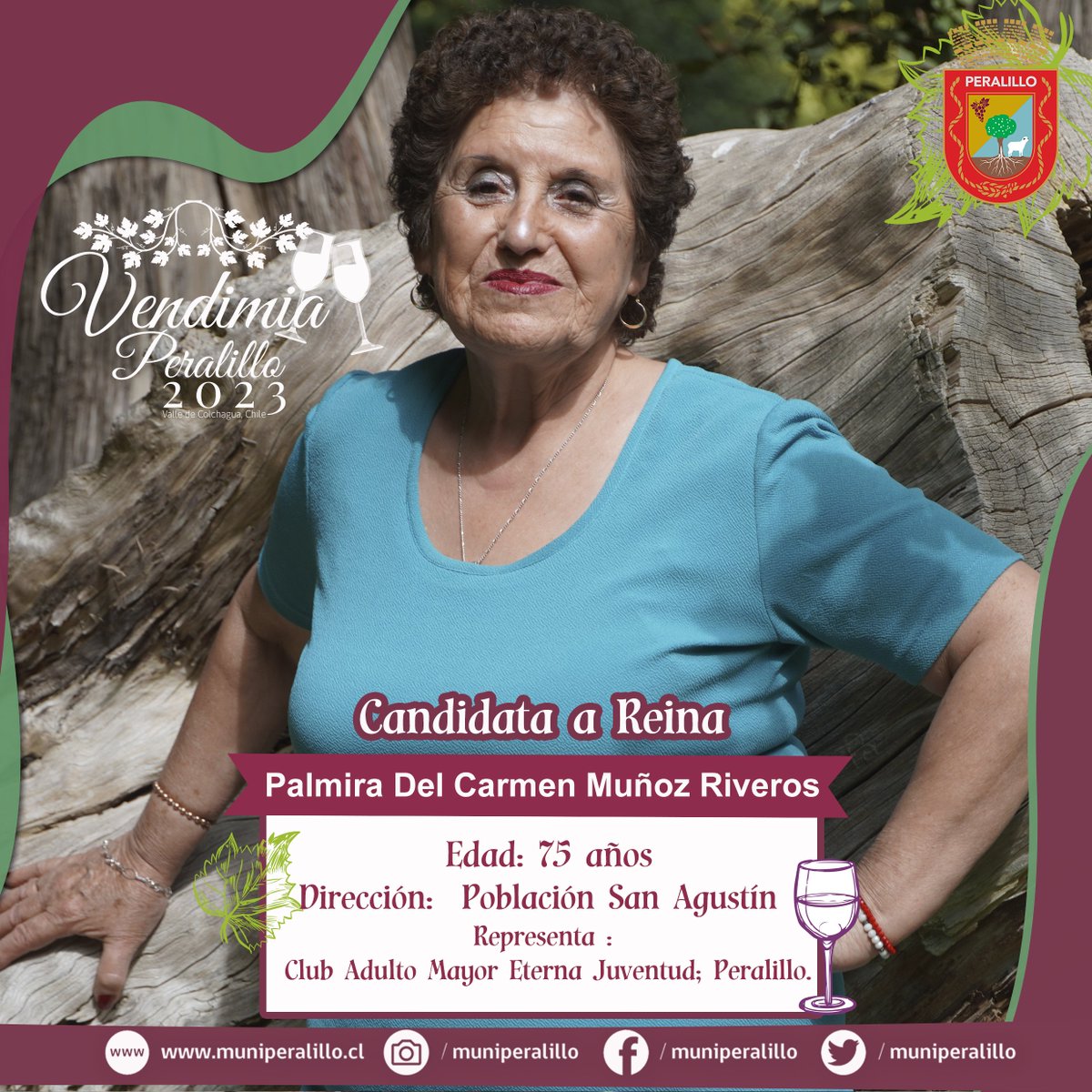 Ilustre Municipalidad de Peralillo, dan conocer a nuestras Candidatas a Reina Vendimia Peralillo 2023.👑En esta ocasión se quiso incorporar a nuestras Mujeres Adultas Mayores, siendo algo histórico en nuestra comuna y en la Fiesta de la Vendimia.🍇👑🍷