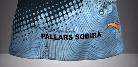 La 10ena serà una #ribalera ben especial carregada de novetats que poc a poc us anirem desvetllant.

La samarreta de la cursa d’enguany arriba de la mà de <a href="/FIREHAWK_WEAR/">FIREHAWK</a> amb un  disseny ESPECTACULAR.

Avui un tast i ben aviat tots els detalls!

#ribalera23 #trailrunning