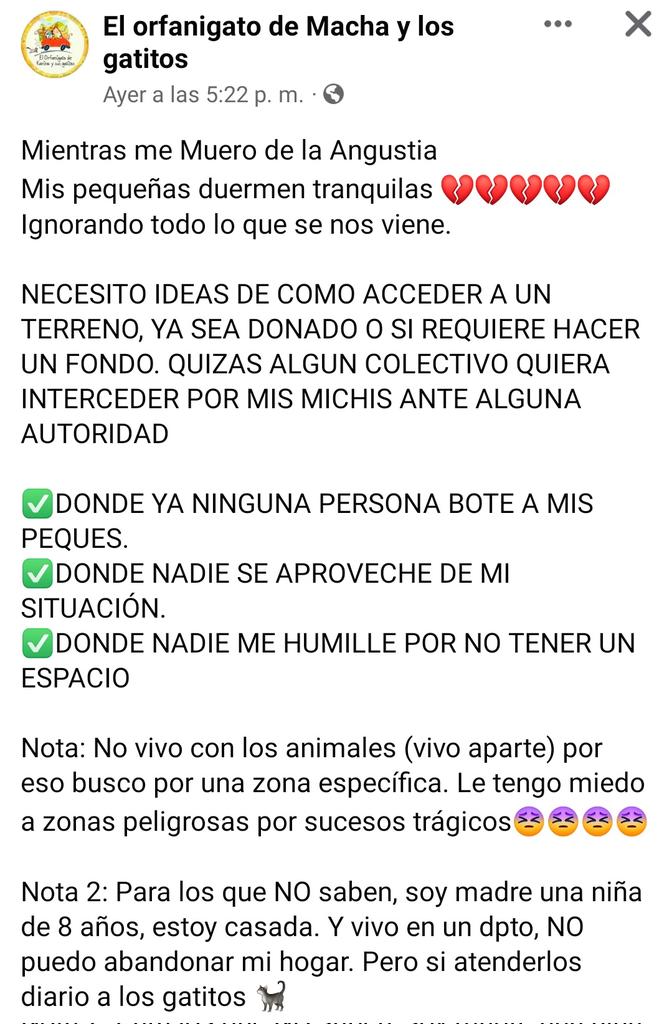ketojolic's tweet photo. Seguimos buscando un terreno en SJM para trasladar el albergue de gatitos y perritos "El orfanigato de Macha" 😢

Alquiler o donación (lo ideal aunque más difícil)

Por favor URGE encontrar un arrendador pet friendly. Karina, quien cuida de ellos y los adora, necesita ayuda 🆘😢 https://t.co/LO5AOs1HgX