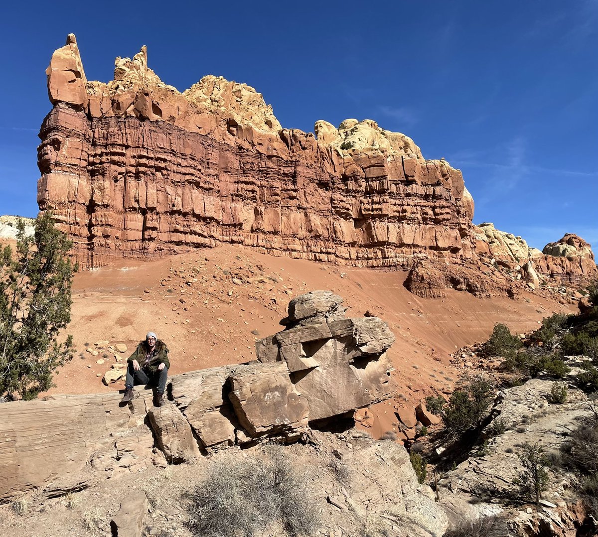 Matthew Cruickshank tweet media