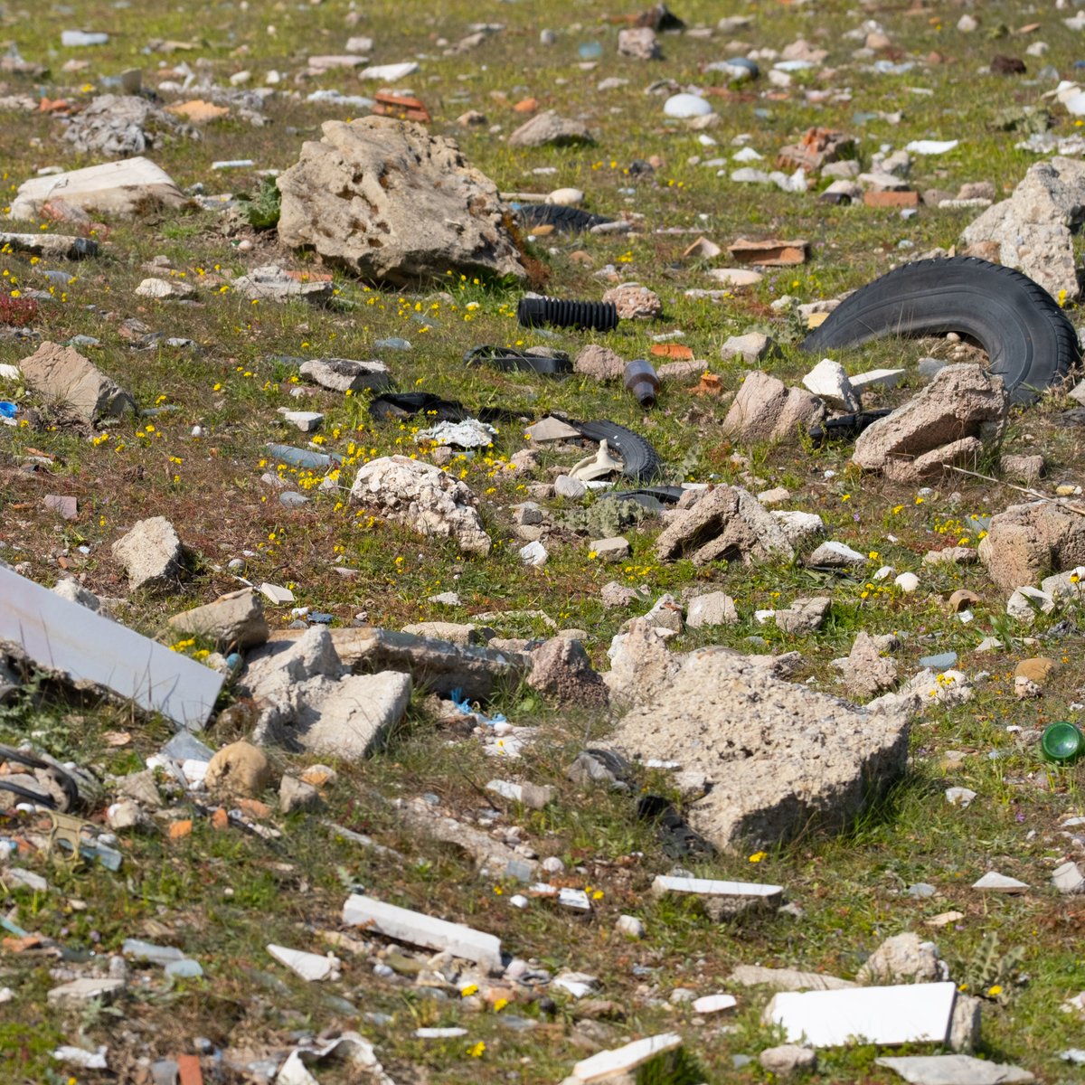 Molozlar ne olacak? Anlatıyım mı?
1- Sıra sıra dizilecek moloz tepeleri
2-Saklamak için toprağın içine gömecekler
3-Toprak molozları kusacak
4-Beton parçaları içinde papatyalar açacak
5-Naylon sarılmış kuru dala bir saka kuşu konacak