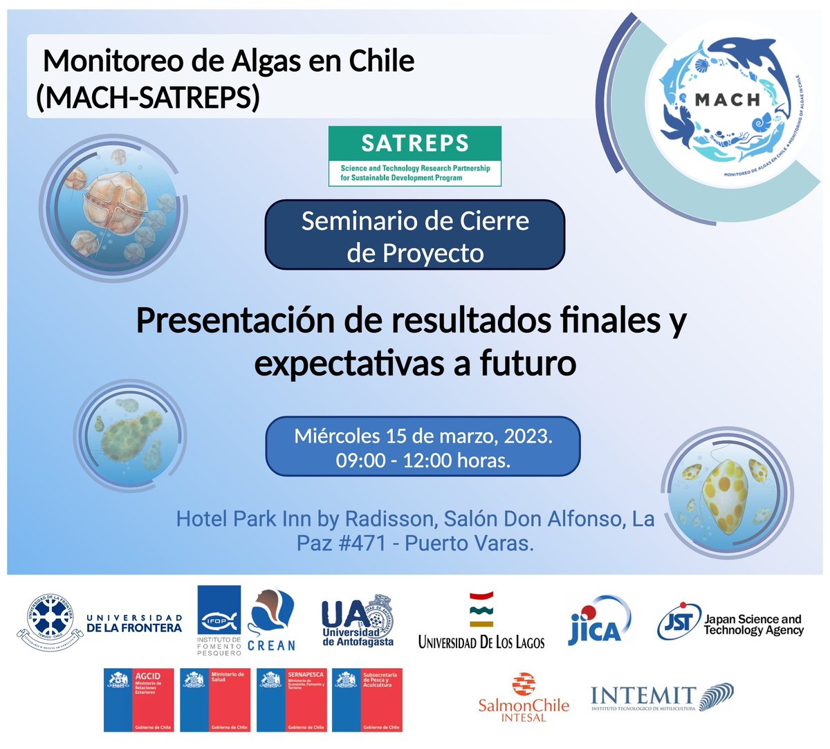 MACH_Noticias's tweet photo. Este miércoles se realizará una ceremonia de cierre con todas las instituciones asociadas al proyecto en el Hotel Park Inn by Radisson de Puerto Varas. @crean_ifop @ifop_periodista @Ufromedios @bioren_ufro @SubpescaCL @sernapesca @ministeriosalud @ULagosOficial @AnidInforma https://t.co/2jp5PEKJDM