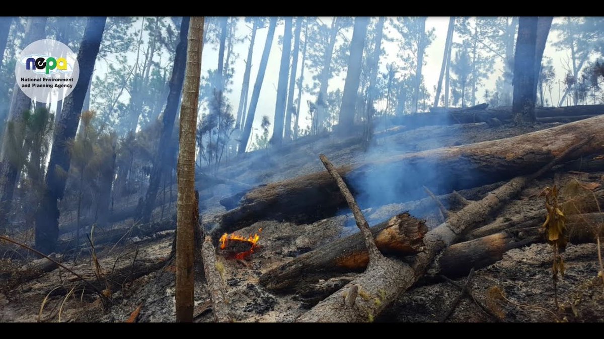 nepajamaica's tweet photo. One spark can mean a whole world of trouble in forested or bushy areas affecting everyone. Get the fire prevention facts here-> https://t.co/qNy6tzvziU #wildfire #forest #firepreventation https://t.co/pU5CO5dbbO