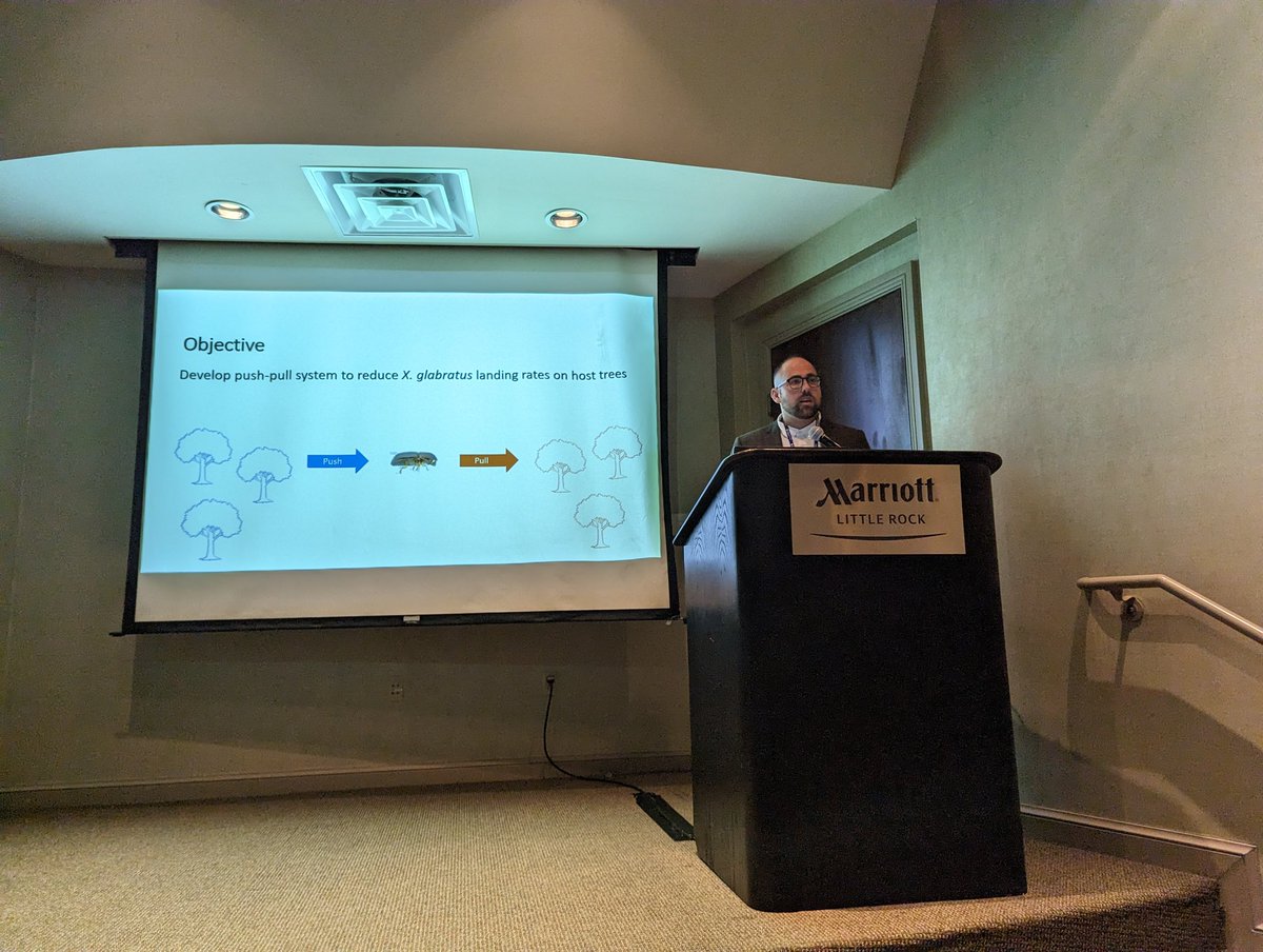 My PhD student Derrick Conover did an amazing job presenting his research on #laurelwilt and #ambrosiabeetle management at the 2023 Southeastern Branch Meeting of @EntsocAmerica in Little Rock, Arkansas.