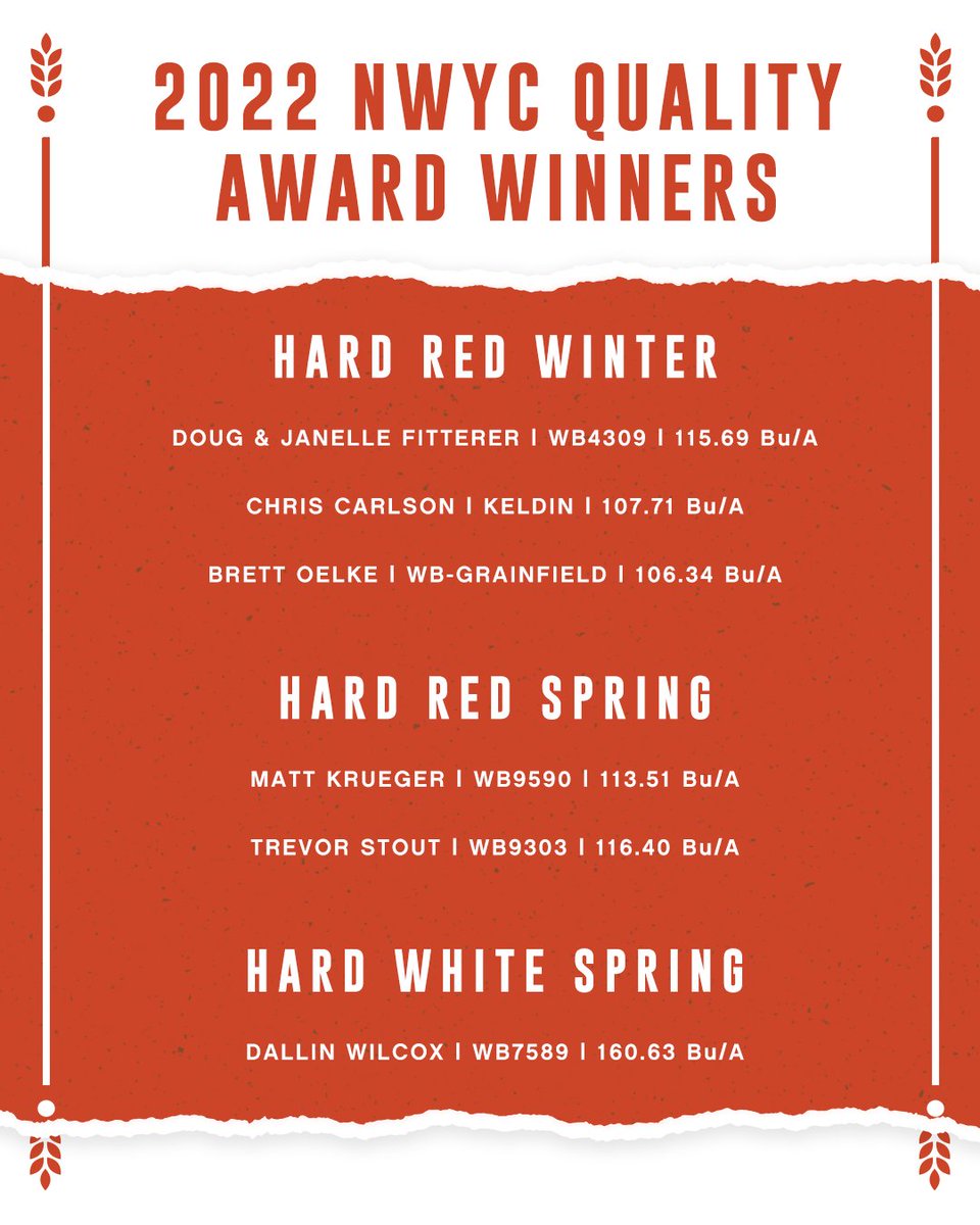 WestBredWheat's tweet image. Breaking news: WestBred Wheat varieties take home top spots in the 2022 #NWYC Grain Quality Awards.

Learn more 👉 bit.ly/3ZoNDjw

#FitForYourOperation @NationalWheat