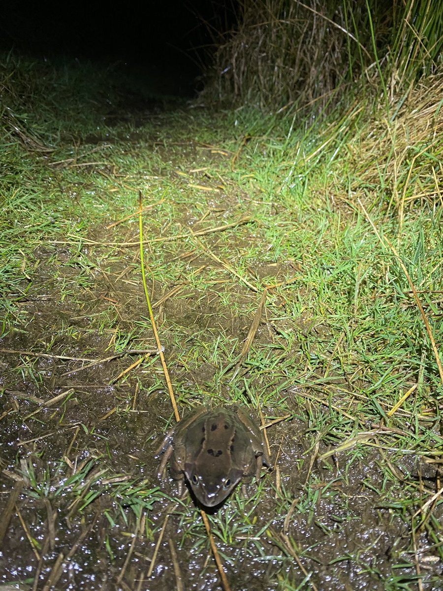 Monday Running Club 🌧️ 💨 🛶